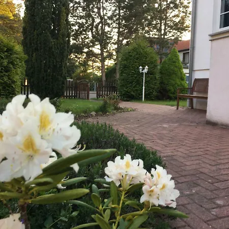 Seehund Apartment